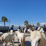 Photo n° 9 de l'avis de HERVE.G fait le 15/08/2022 à 18:28 pour Arènes du Grau du Roi à Le Grau-du-Roi