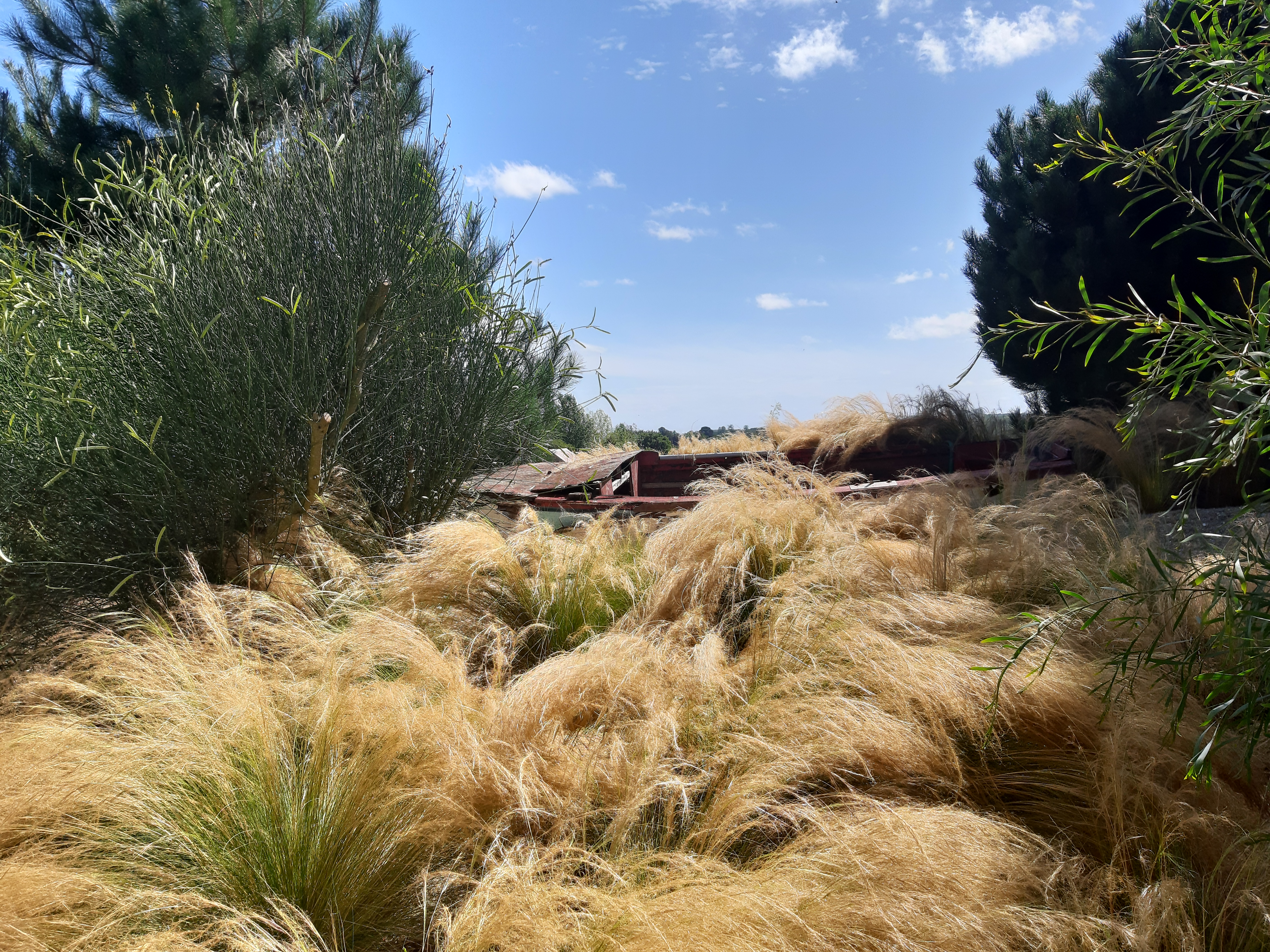 Photo n° 4 de l'avis de sandrine.E fait le 20/08/2020 à 15:03