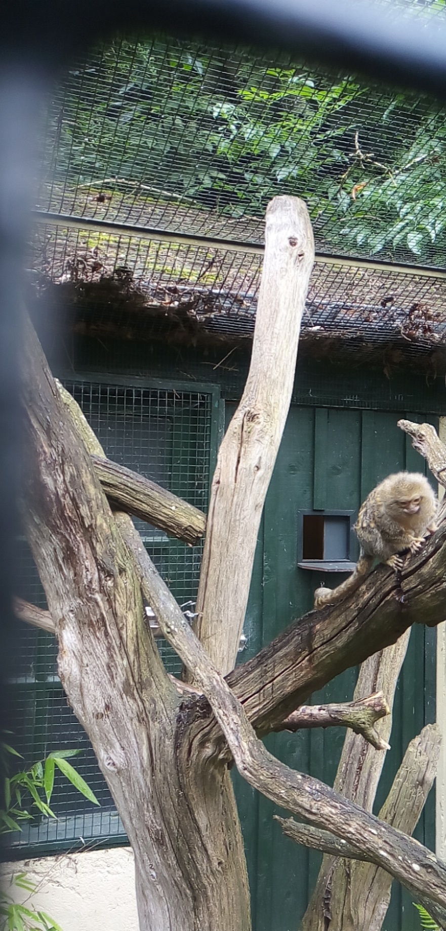 Photo n° 2 de l'avis de nicolas.r fait le 30/08/2021 à 09:39