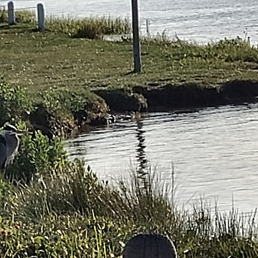 Tourist Attraction «Rockport Pier», reviews and photos, 1298 E Market St, Rockport, TX 78382, USA