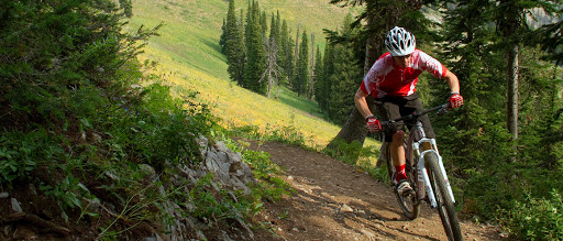 Bicycle Store «Breakaway Bikes», reviews and photos, 4235 Montgomery Dr, Santa Rosa, CA 95405, USA