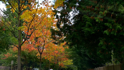 Park «Highlands Park», reviews and photos, 16123 Highlands Blvd SE, Mill Creek, WA 98012, USA