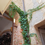 Photo n°5 de l'avis de Roberto.a fait le 21/07/2018 à 08:37 sur le  D! Vineria enoteca à San Gimignano