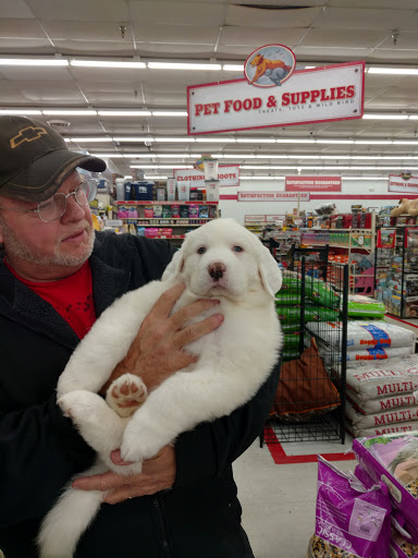 Home Improvement Store «Tractor Supply Co.», reviews and photos, 115 4 Seasons Blvd a, Hendersonville, NC 28792, USA