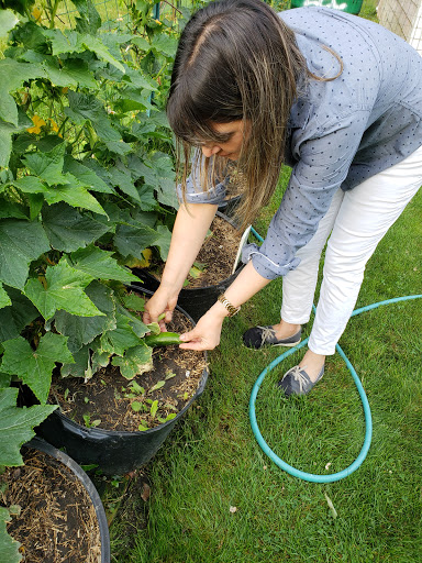 Health Food Store «Vineyard Grocer», reviews and photos, 294 State Rd, Vineyard Haven, MA 02568, USA