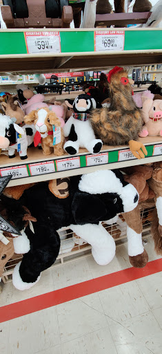 Home Improvement Store «Tractor Supply Co.», reviews and photos, 2385 E Market St, Harrisonburg, VA 22801, USA