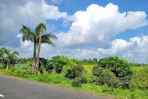 Vasan lake image