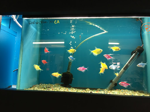 Pet Store «AquaVarium Pets And Supplies», reviews and photos, 95 W Bridge St, Catskill, NY 12414, USA