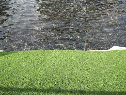 Hotel «The Mirage», reviews and photos, 3400 S Las Vegas Blvd, Las Vegas, NV 89109, USA