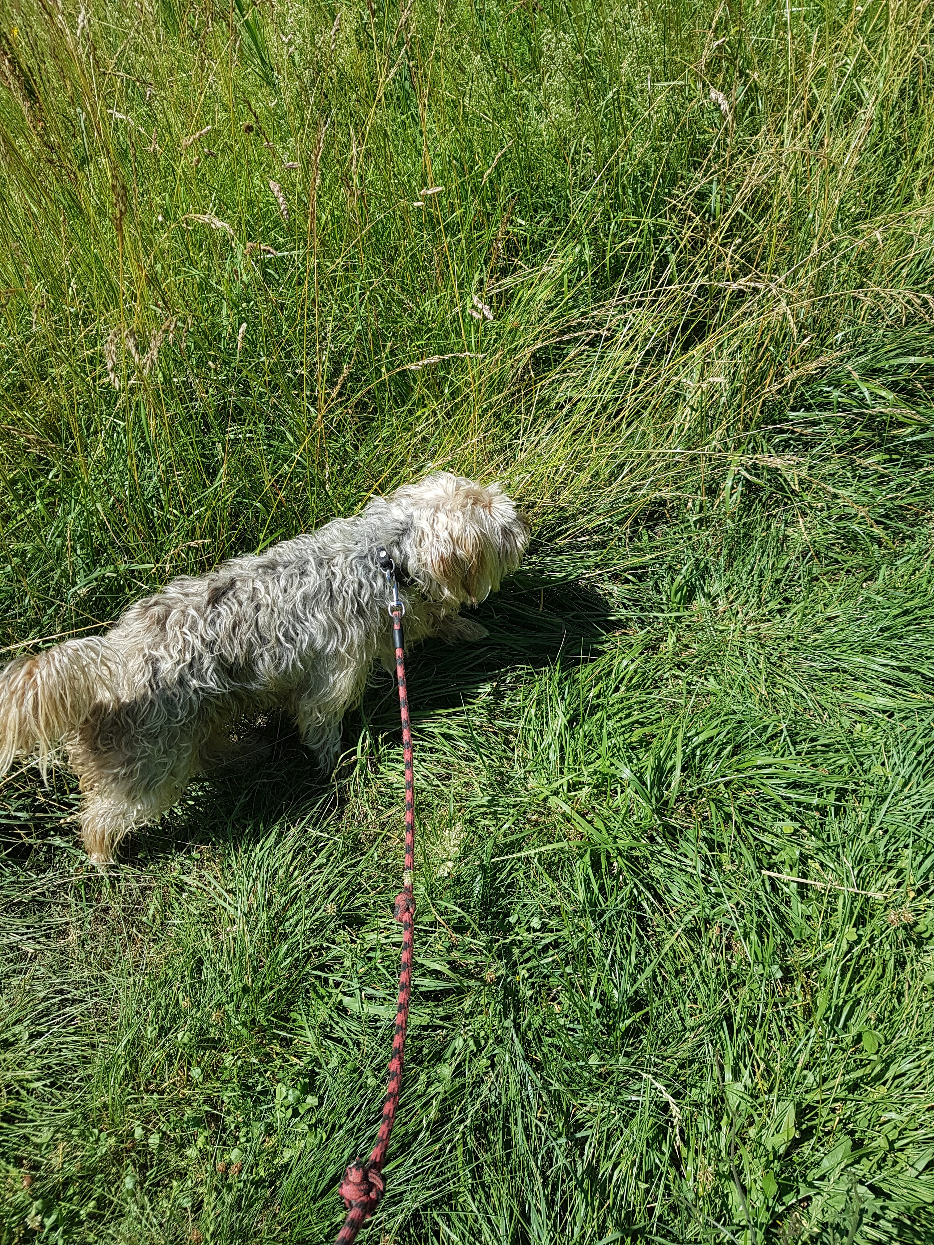 Photo n° 3 de l'avis de Twix. fait le 02/07/2018 à 16:24