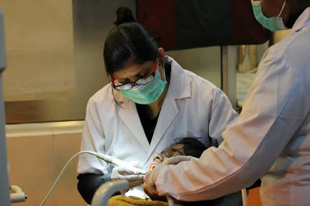 Dr. Joshi's Vasundhara Dental Clinic - Dr. Joshi's Vasundhara Dental Clinic