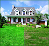 Lawn Doctor of Ridgefield-New Milford - Photo 8 - Car repair in , Danbury