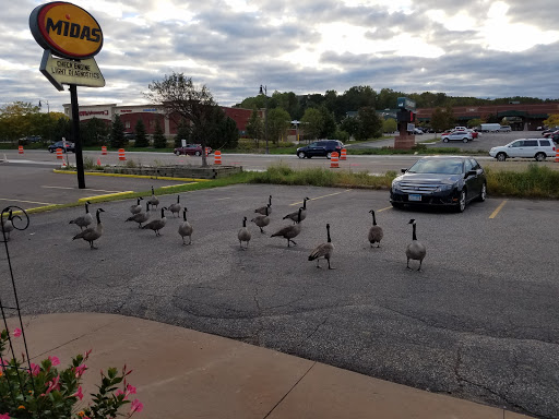 Florist «A Precious Petals Florist», reviews and photos, 1438 S Robert St, West St Paul, MN 55118, USA