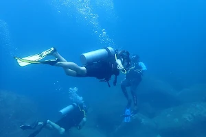 Mirissa Diving & Snorkeling Center image