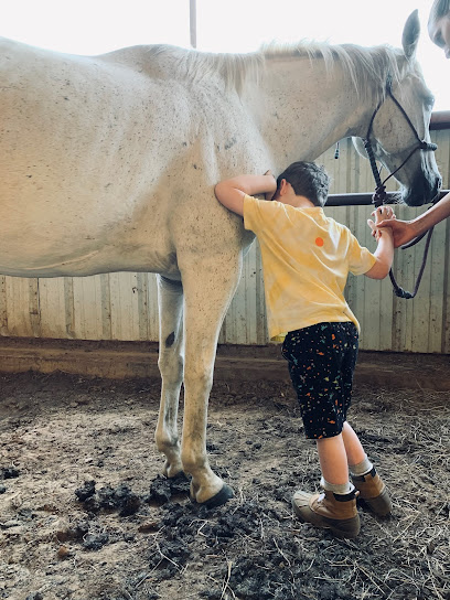 HorsePlay Hippotherapy & Therapeutic Riding, Inc