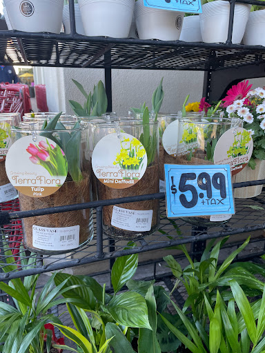 Shopping Mall «Cherry Orchard Shopping Center», reviews and photos, 300 - 390 W El Camino Real, Sunnyvale, CA 94087, USA