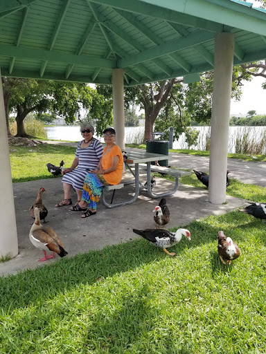 Park «Royal Palm Park», reviews and photos, 1701 NW 38th St, Oakland Park, FL 33309, USA