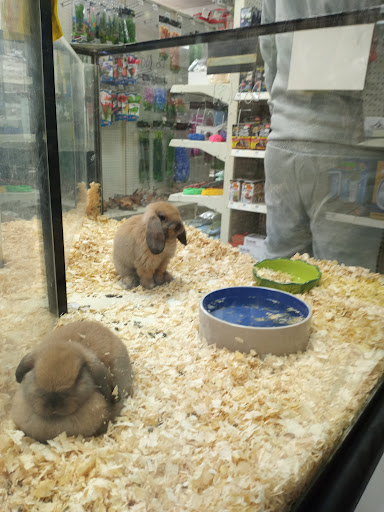 Pet Store «Inland Reef Pet Store», reviews and photos, 817 Cross Lanes Dr, Cross Lanes, WV 25313, USA