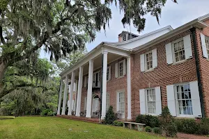 Hobcaw Barony image