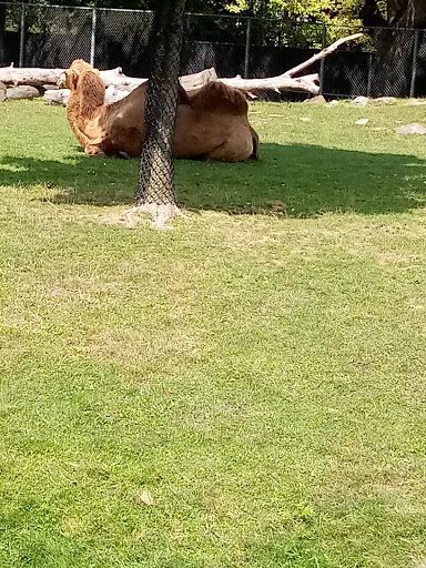 Museum «Curwood Castle Museum», reviews and photos, 224 Curwood Castle Dr, Owosso, MI 48867, USA