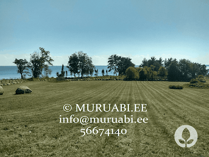 Muruabi - Muru niitmine, trimmerdamine ja muruhooldus.