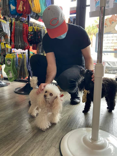 Pet Supply Store «Dog-Mania & Cats», reviews and photos, 37846 Meridian Ave, Dade City, FL 33525, USA