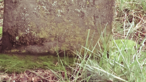 Auto Repair Shop «Meineke Car Care Center», reviews and photos, 3635 SE 82nd Ave, Portland, OR 97266, USA