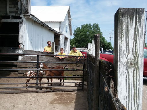 Livestock producer Dayton