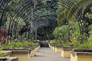 Parque Municipal de Arucas image