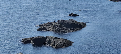 Park «Fort Sewall», reviews and photos, 8 Fort Sewall Ln, Marblehead, MA 01945, USA