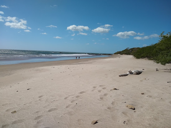 Playa Chacocente