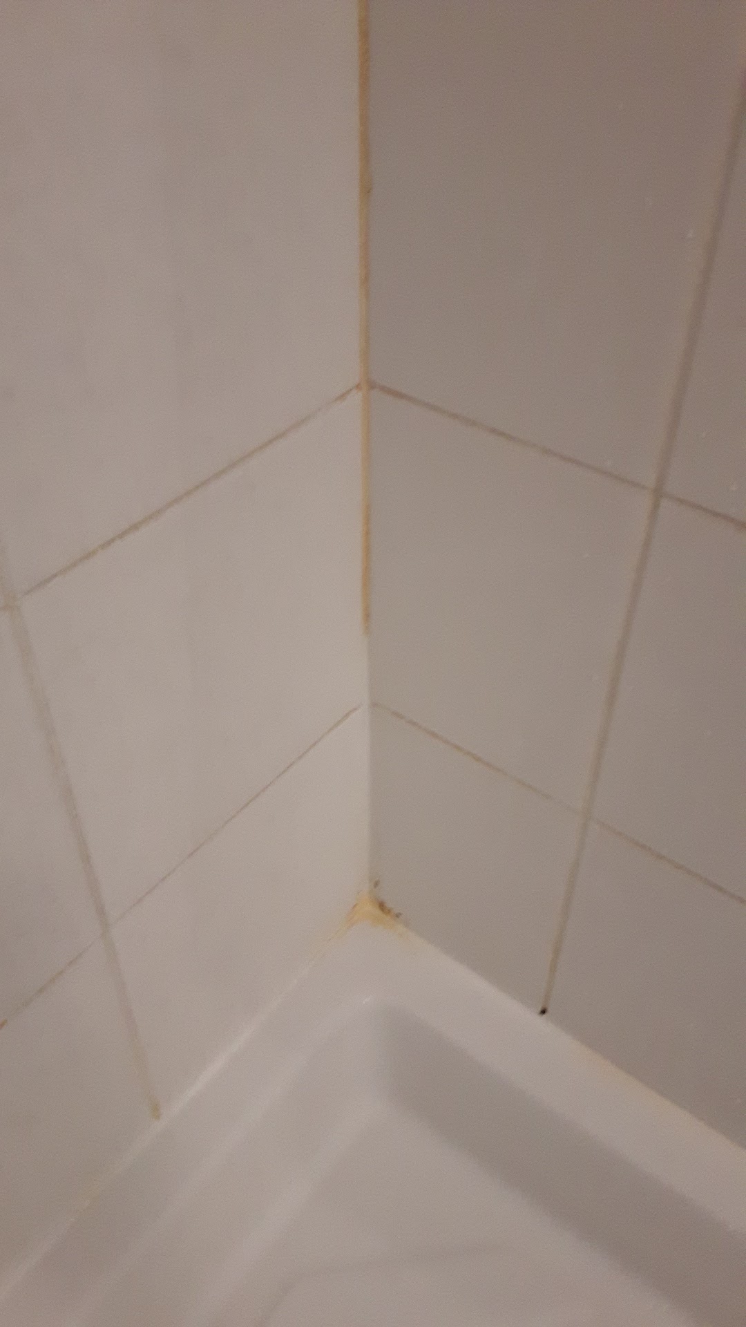 Photo n° 2 de l'avis de Domi. fait le 18/08/2018 à 05:27