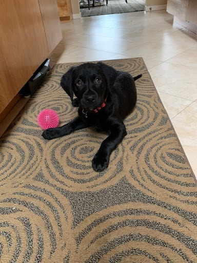 Insurance Agency «The Peppler Agency», reviews and photos