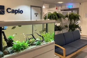 Capio Vårdcentral Viksjö image