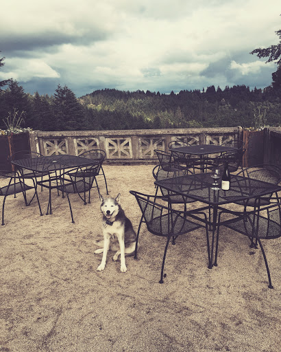 Winery «Abbelone Vineyard», reviews and photos, 85505 Christensen Rd, Eugene, OR 97405, USA