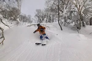 Japan Ski Tours image