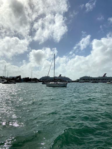 Tour Agency «Duck Tours-South Beach», reviews and photos, 1661 James Ave, Miami Beach, FL 33139, USA