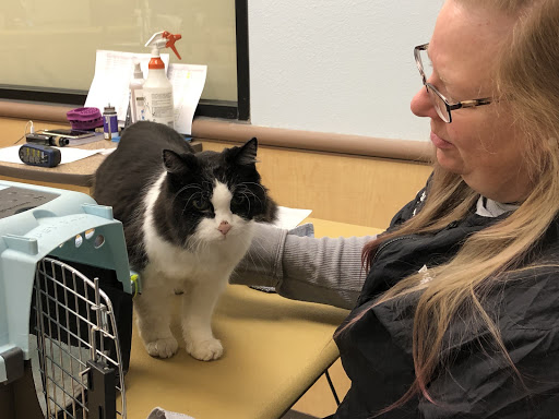 Pet Supply Store «PetSmart», reviews and photos, 2435 Prairie Center Pkwy, Brighton, CO 80601, USA