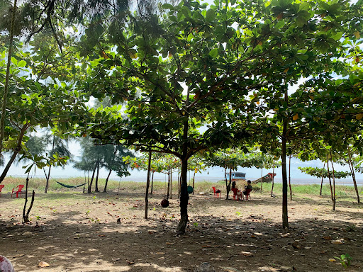 Top 20 cửa hàng play Huyện Cần Giờ Hồ Chí Minh 2022