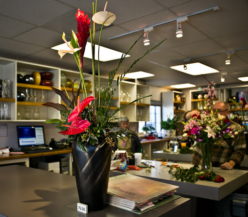 Florist «Cupertino Florist», reviews and photos, 7289 Coronado Dr, San Jose, CA 95129, USA