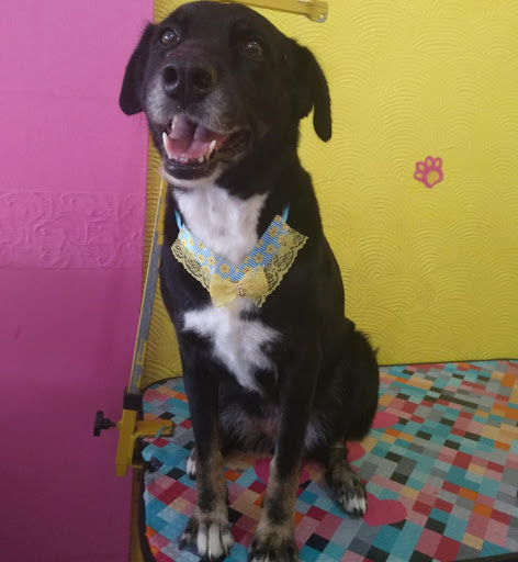 MedClin em Americana - SP