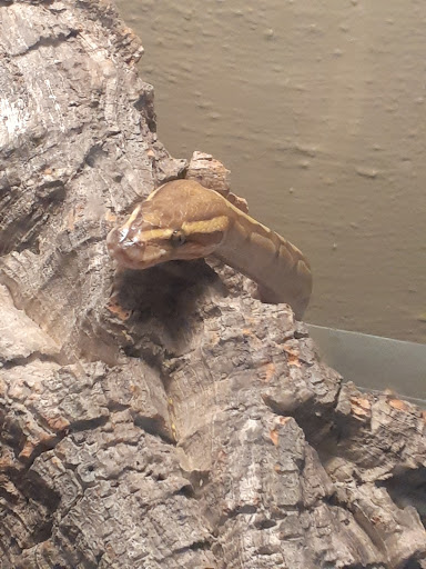 Pet Supply Store «Buckles Feed Depot & Pet Supply», reviews and photos, 220 S 4th St, Lafayette, IN 47901, USA