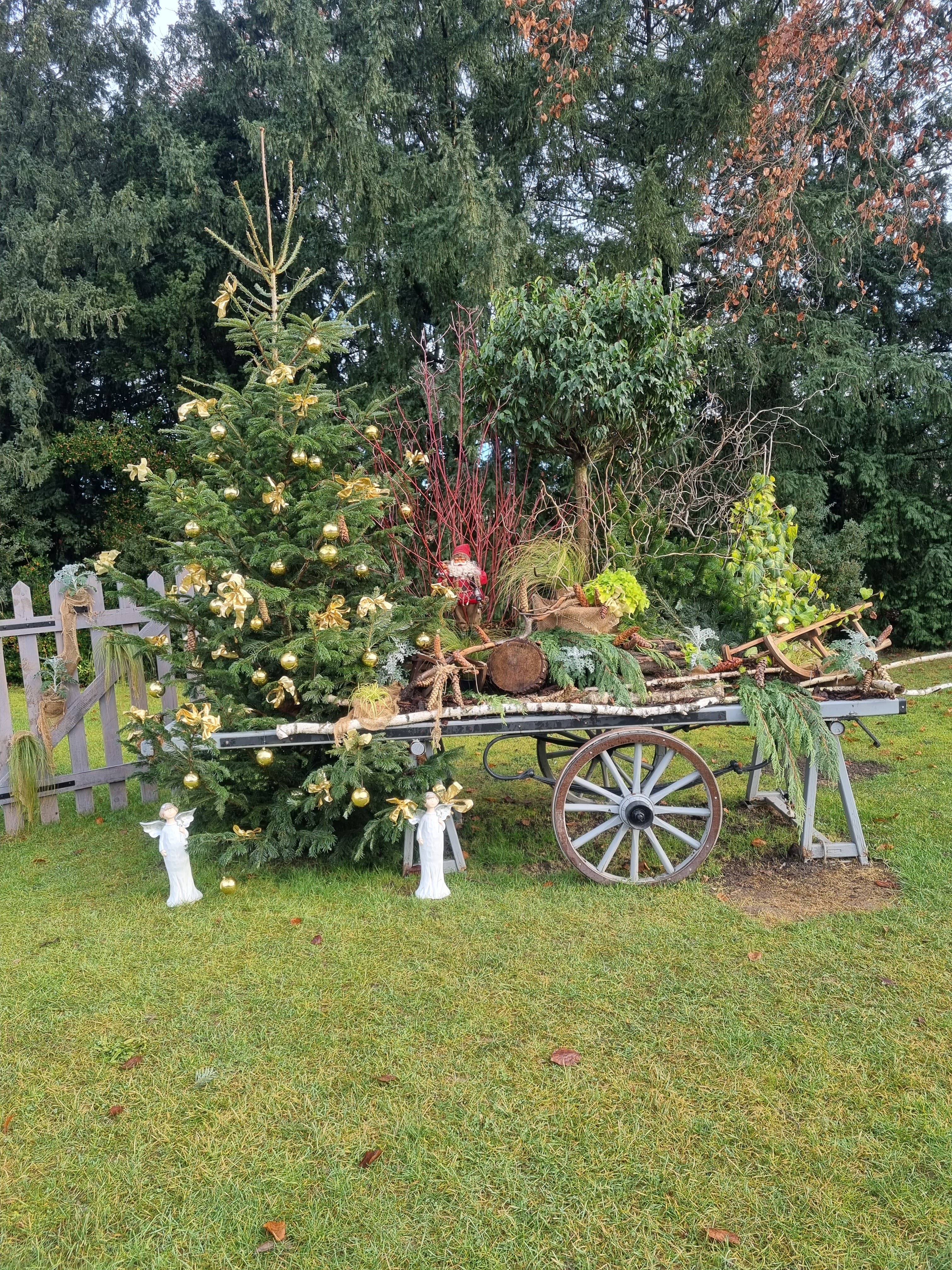 Photo n° 2 de l'avis de eric.e fait le 27/12/2021 à 11:59