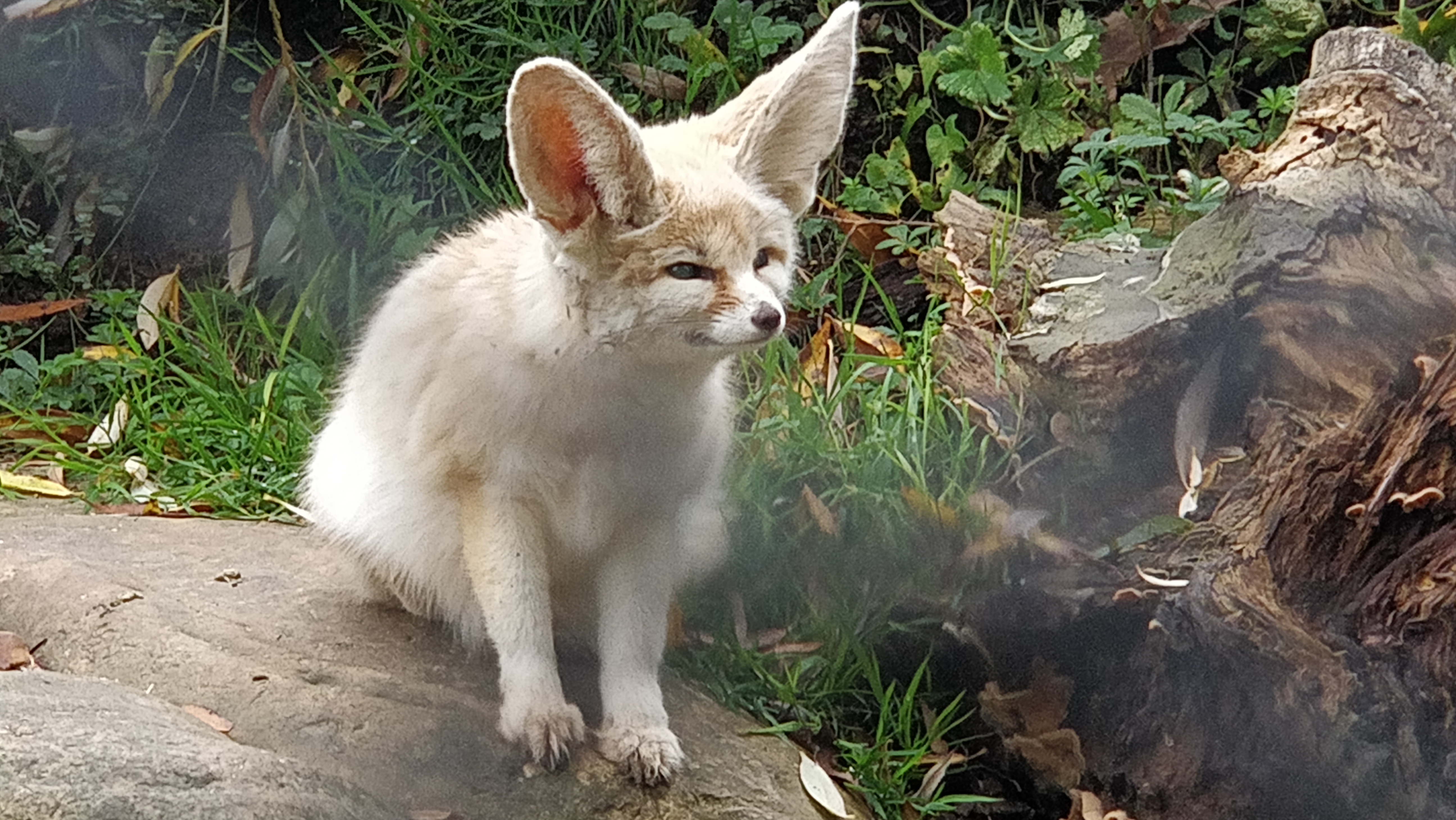 Photo n° 9 de l'avis de Daniel.o fait le 25/10/2020 à 14:01