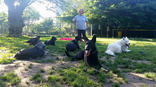 Dog Trainer «K-9 Koncepts Dog Training, Grooming, Boarding, Pet Store», reviews and photos, 4520 North Point Blvd, Sparrows Point, MD 21219, USA