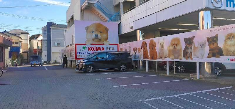 ペットの専門店コジマ 青戸店 東京都葛飾区青戸 ペットショップ グルコミ