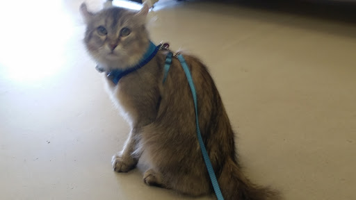 Pet Store «Petsense Enterprise», reviews and photos, 621 Boll Weevil Cir, Enterprise, AL 36330, USA