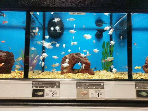 Pet Supply Store «Petco Animal Supplies», reviews and photos, 516 Valley Mall Pkwy, East Wenatchee, WA 98802, USA