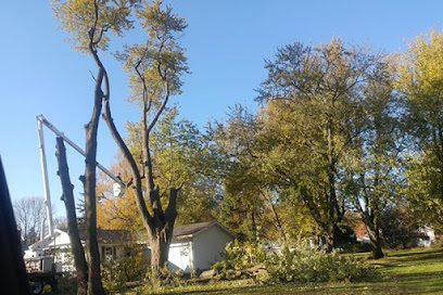 Wes' Tree Service