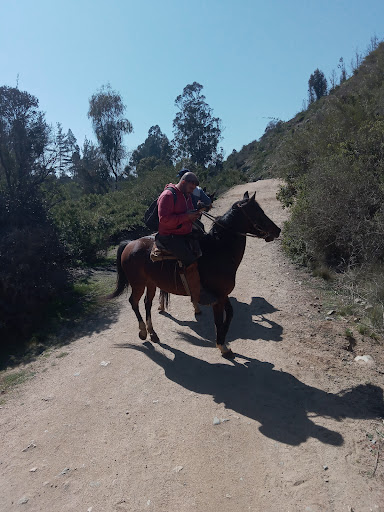 Tour Experiencia El Quisco